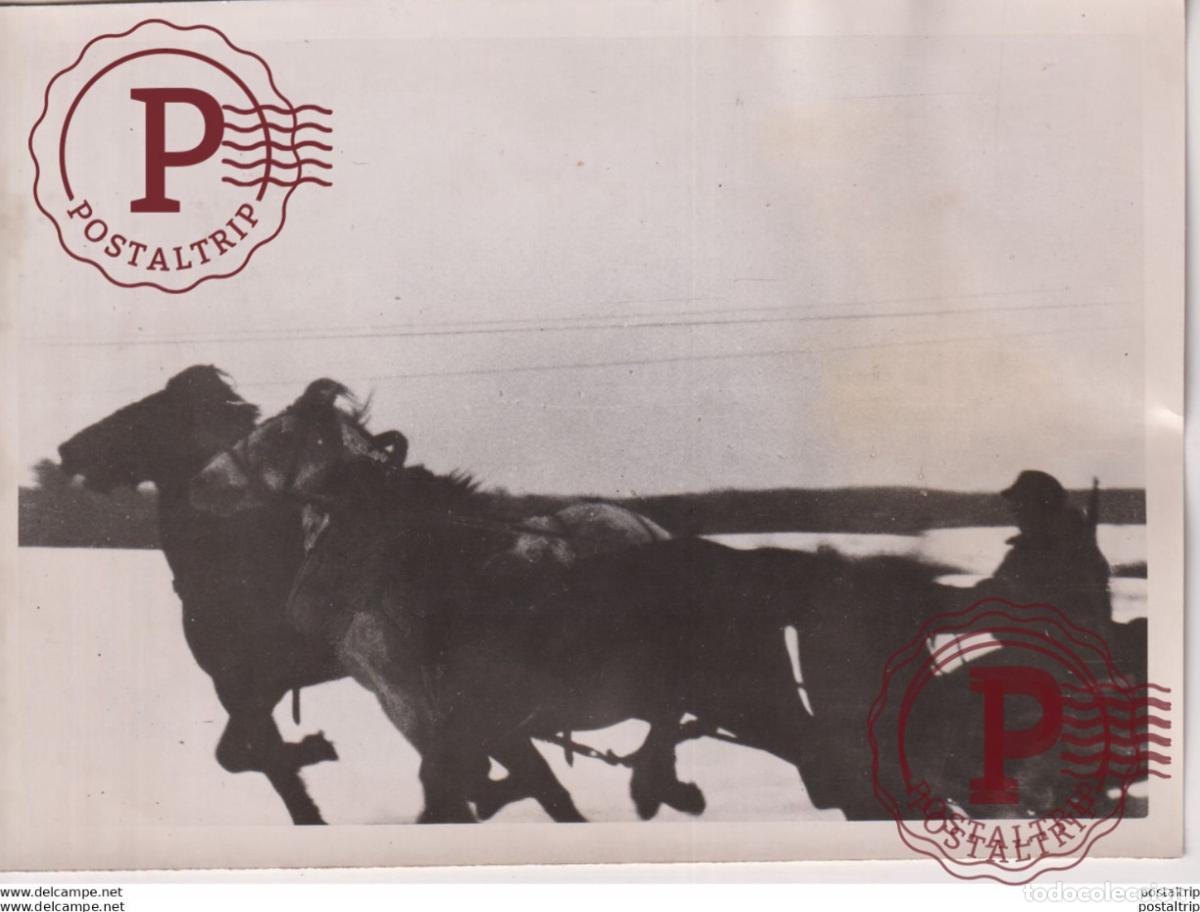 Militaria: ZUM REGIMENTS GEFECHTSSTAND DREIGESPANN 18*13cm WW2 WORLD WAR 2 WELTKRIEG deutschland