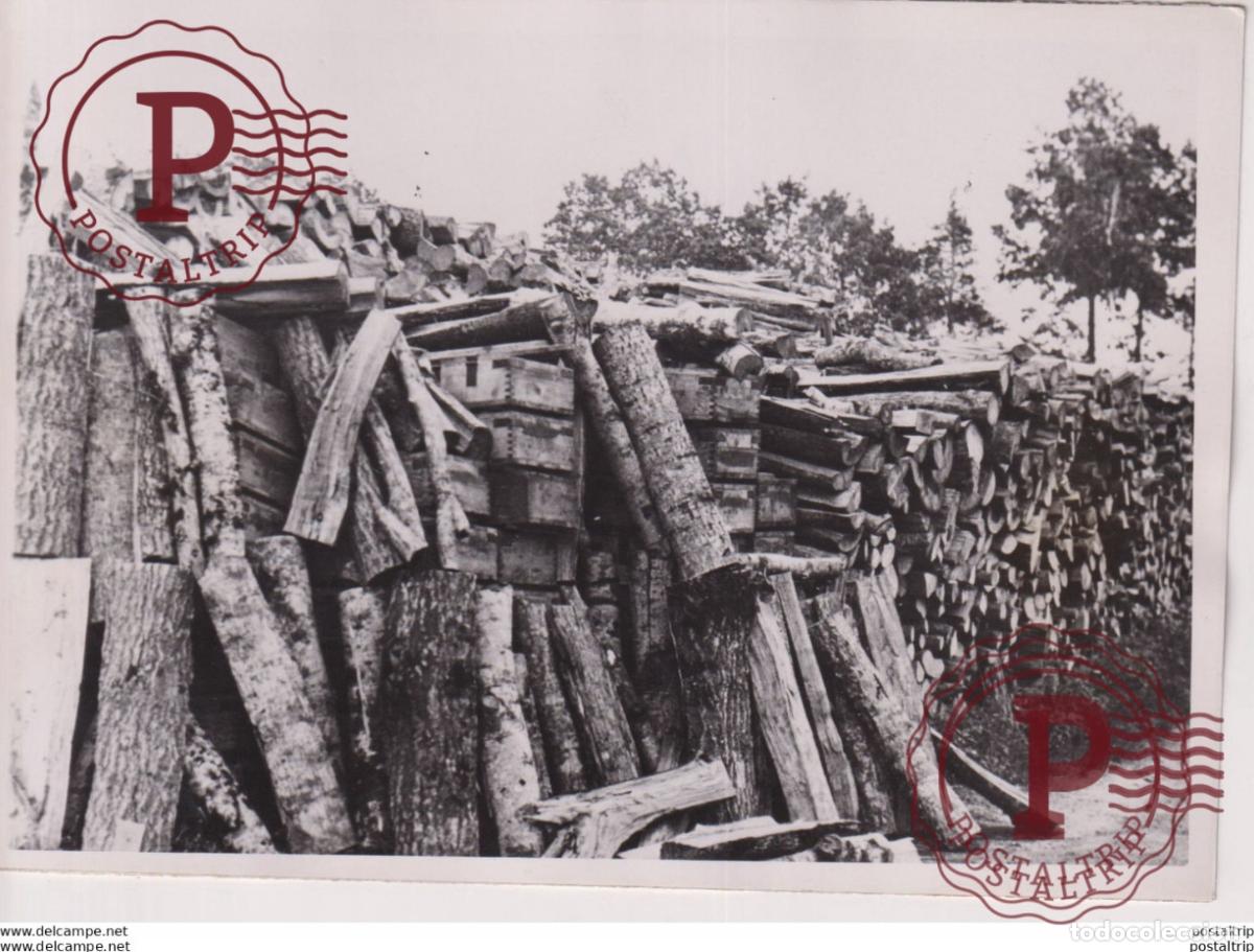 Militaria: LAGER VON SOWJET GRANATEN 18*13cm WW2 WORLD WAR 2 WELTKRIEG deutschland