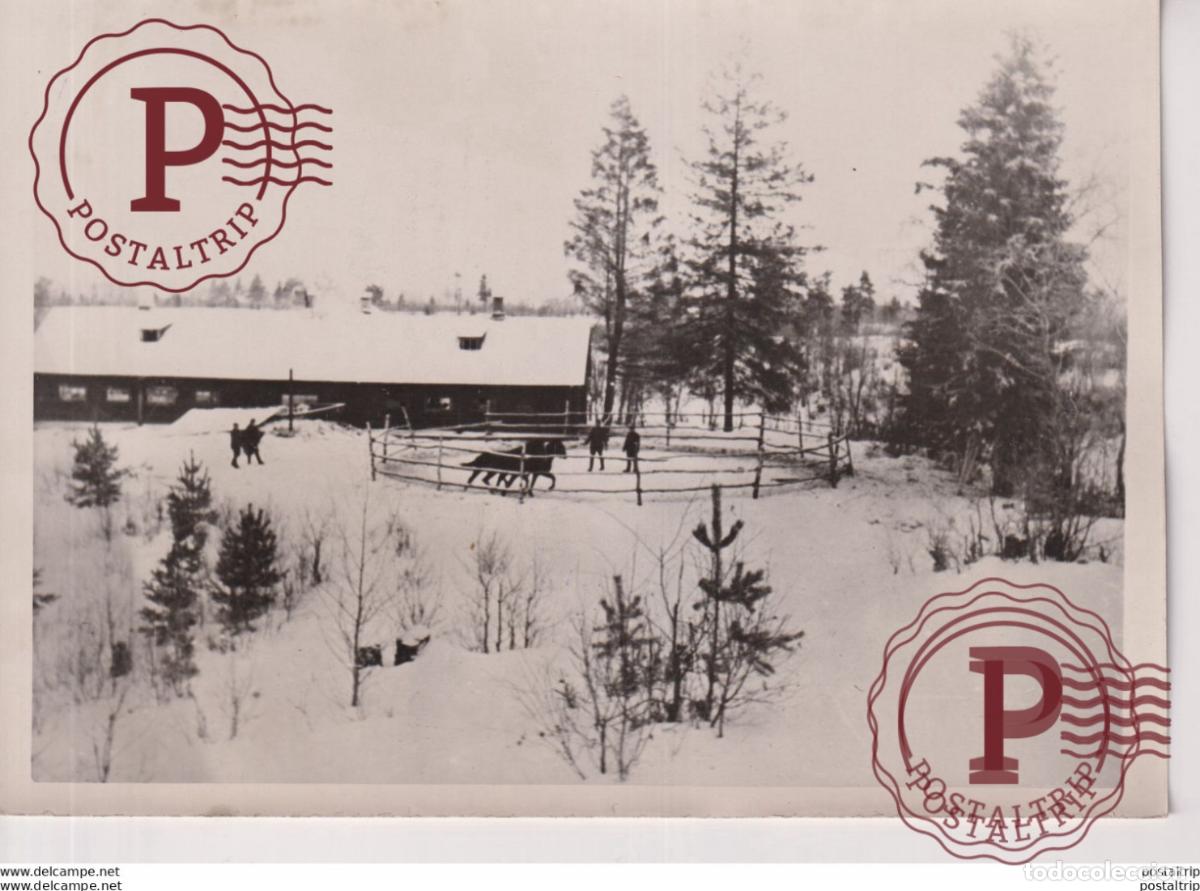 Militaria: 1942 18*13CM WW2 WWII WORLD WAR 2 WELTKRIEG aleman deutschland