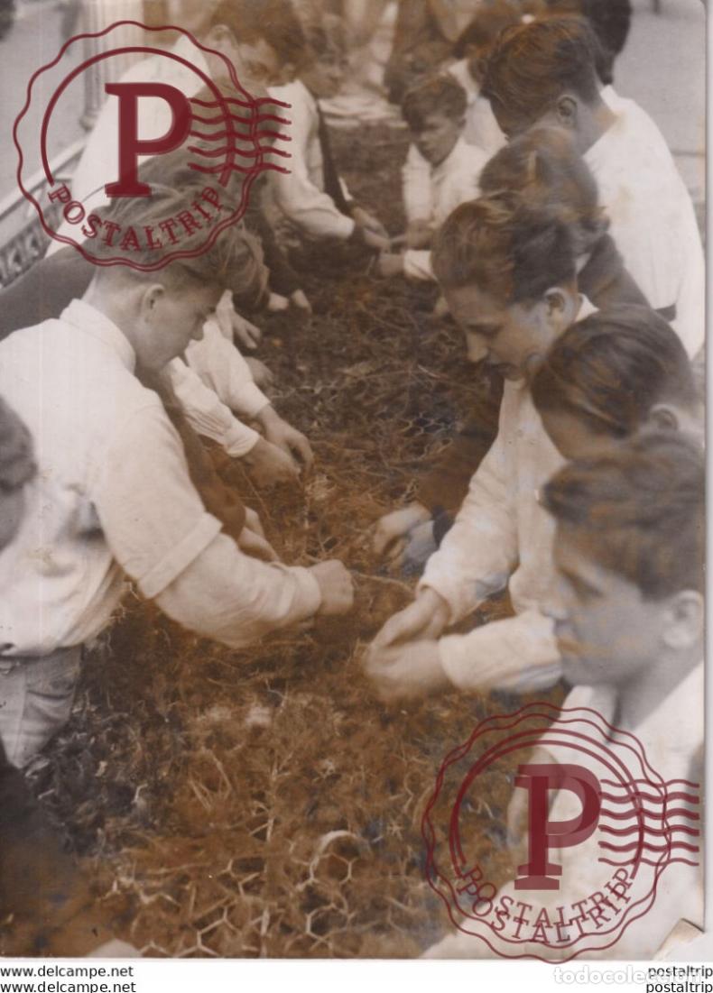 Militaria: HITLER JUGEND STADT WIEN 24*18CM WW2 WWII WORLD WAR 2 WELTKRIEG deutschland