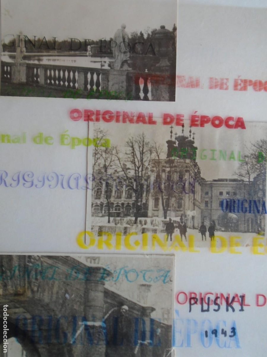 Militaria: (DA-46)LOTE DE 3 FOTOGRAFIAS DE PUSKI 1943 ARCHIVO ARTILLERO DIVISION AZUL HERIDO EN LENINGRADO