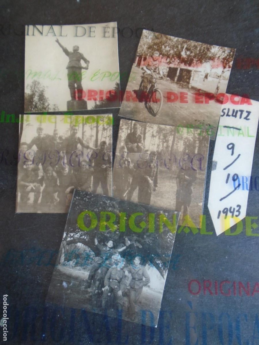 Militaria: (DA-72)LOTE DE 5 FOTOGRAFIAS SLUTZ 9-10-1943 ARCHIVO ARTILLERO DE LA DIVISION AZUL HERIDO LENINGRADO