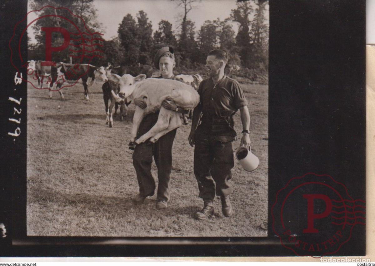 Militaria: BRITISH SOLDIER NORMANDY 1944 9*6CM GUERRE BRITISH ARMY WW2 LIBERACION CROWN PHOTOGRAPH