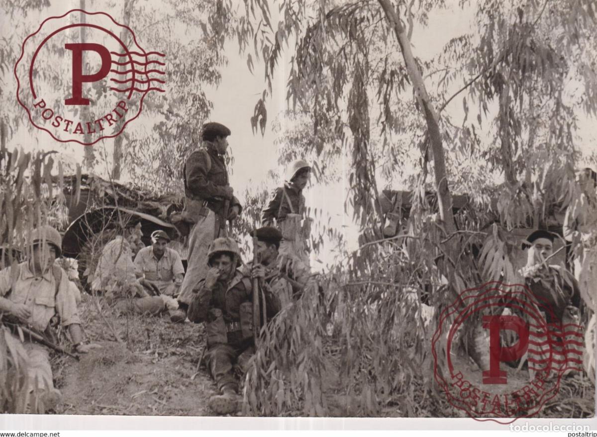 Militaria: BATTLE OF GAZA ISRAELIS SOLDIERS SOLDATS Isra&eacute;liens 21*15CM WAR GUERRE PHOTOGRAPH EGYPTE EGYPT