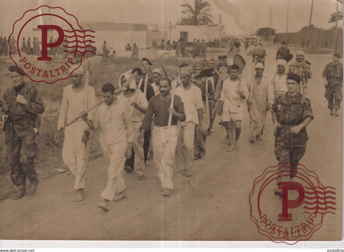 Militaria: PORT SAID PRISONNIERS &Eacute;GYPTIENS EGYPTIAN PRISONERS FRAN&Ccedil;AIS BRITANNIQUE 21*15CM WAR GUERRE PHOTOGRA