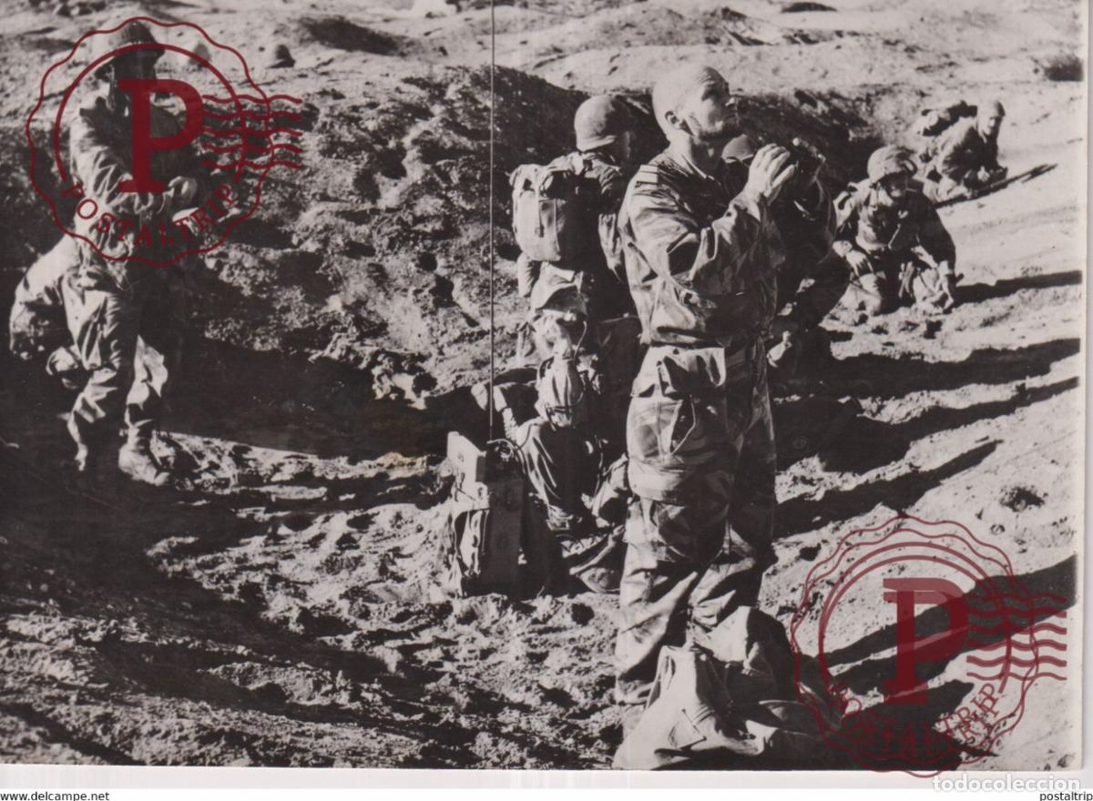 Militaria: PORT SAID CORONEL CONAN TROUPES FRANCAIS FRENSH TROOPS FRANCE 21*15CM GAZA WAR GUERRE PHOTOGRAPH E