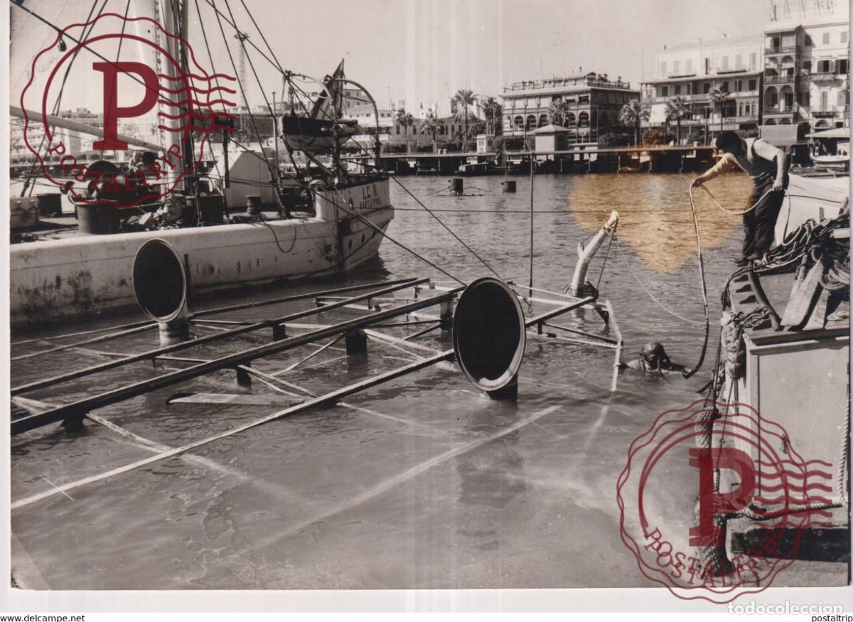 Militaria: BRITISH TROOPS PORT SAID SUEZ CANAL BRITISH ROYAL NAVAL DIVER 20*15CM GAZA WAR GUERRE PHOTOGRAPH