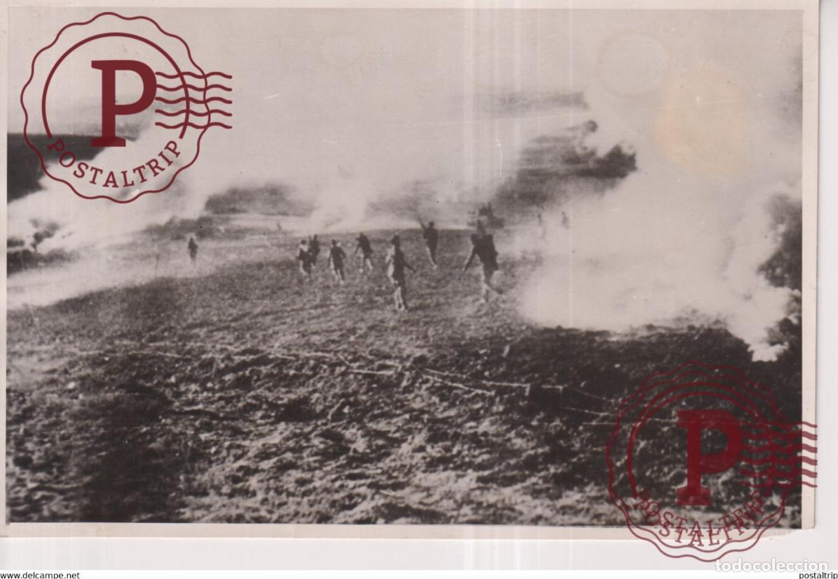 Militaria: egyptianisraeli border ISRAELI INFANTRY TROOPS CHAR COMBAT TANKS 18*12CM GAZA WAR GUERRE PHOTOGRAPH