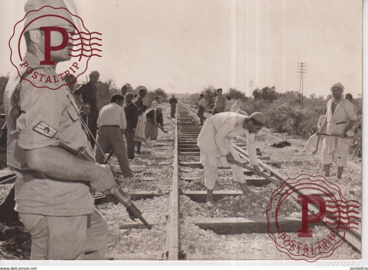 Militaria: GAZA EGIPTO EGYPTIAN PRISONERS ISRAELITE SOLDIERS TEL AVIV 18*12CM GAZA WAR GUERRE PHOTOGRAPH EGYP