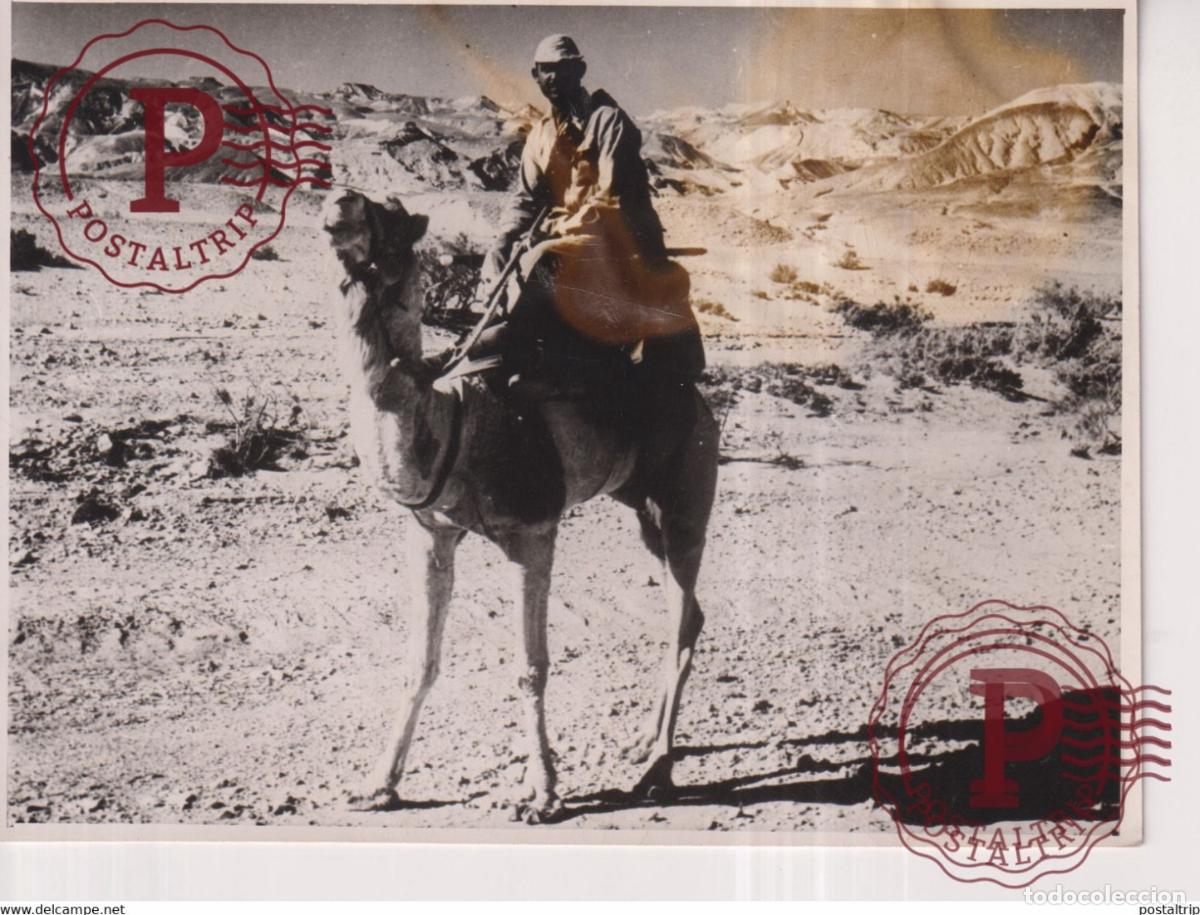 Militaria: DESIERTO DE SAMAI TROPAS ISRAELITAS PENETRAN EGIPTO RAS SUDR Y A 17*11CM GAZA WAR GUERRE PHOTOGRAPH