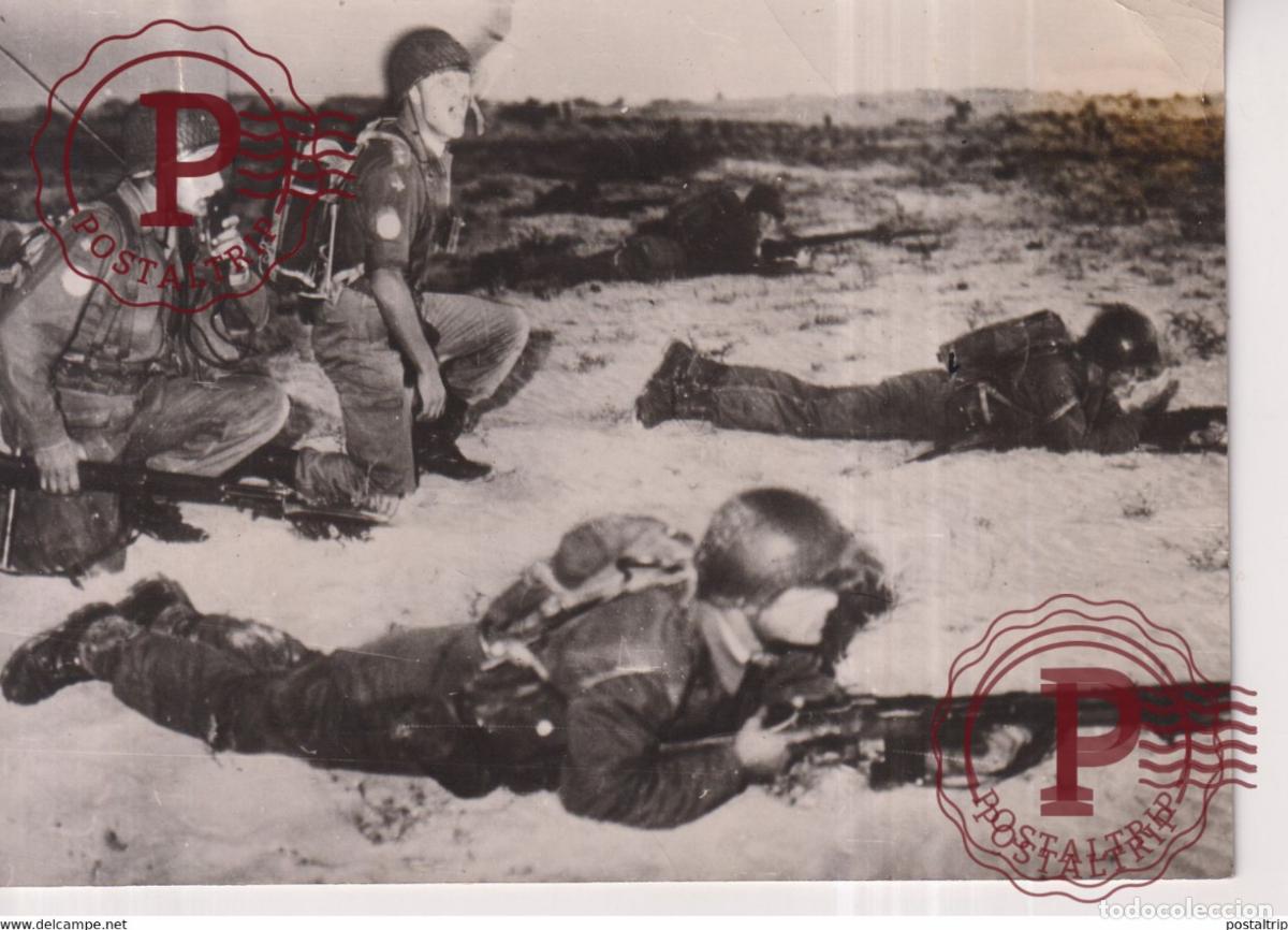 Militaria: DESIERTO DE SINAT INFANTERIA NORUEGOS ONU NACIONAS UNIDAS NORWAY 15*10CM GAZA WAR GUERRE PHOTOGRAPH