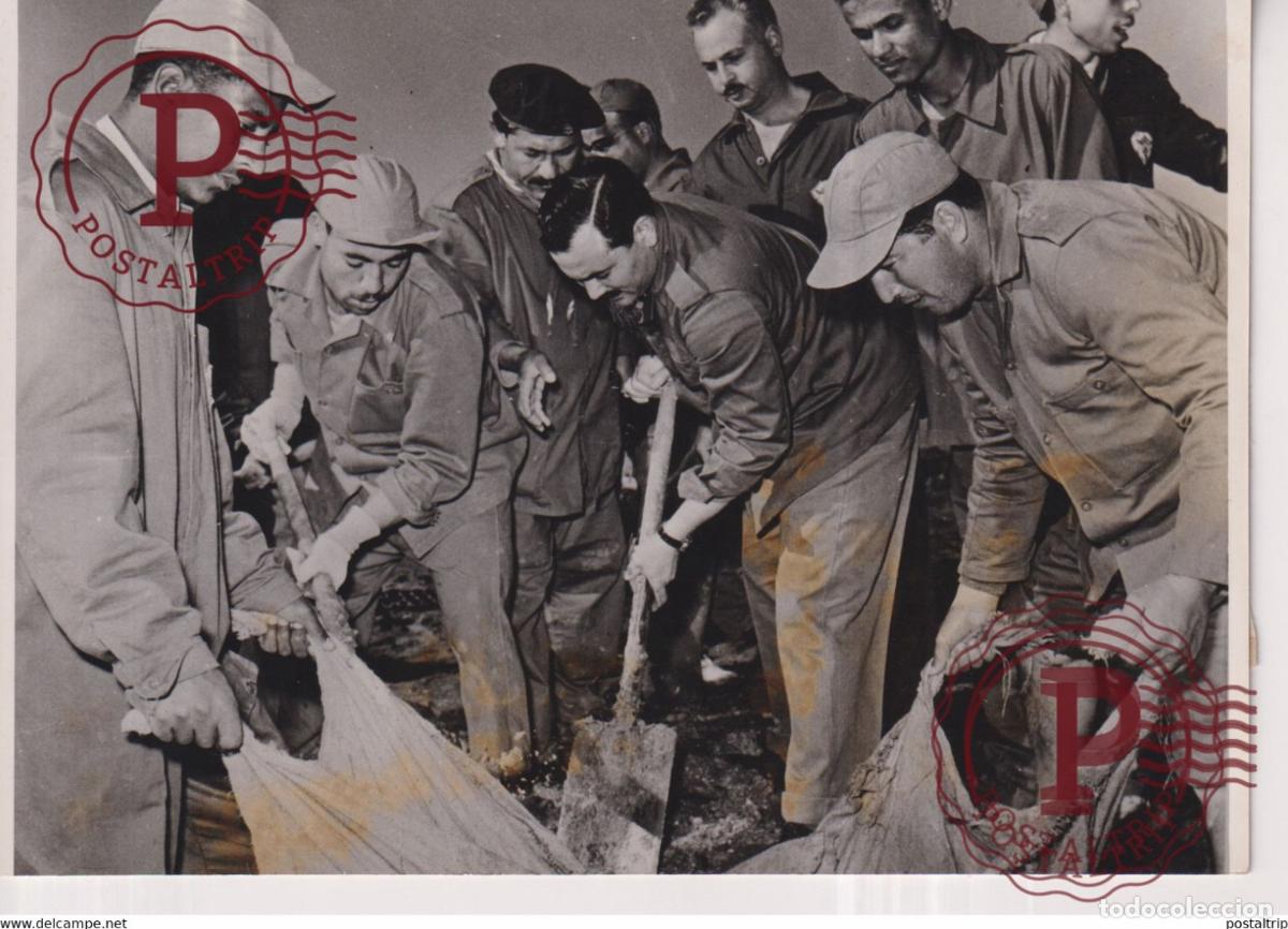 Militaria: PORT SAID MINISTERIO EGIPTICO DE EDUCACION LIBERACION NATIONAL 15*10CM GAZA WAR GUERRE PHOTOGRAPH E