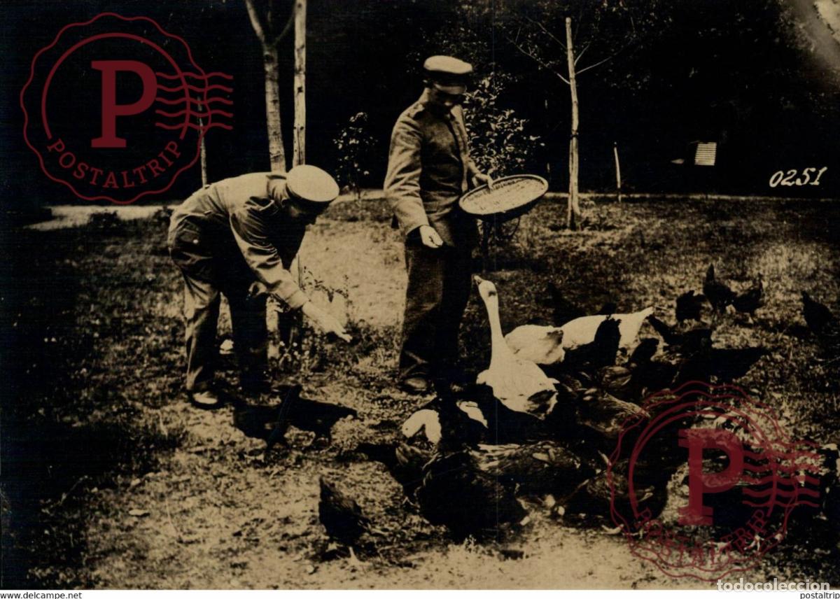 Militaria: DEUTSCHLAND BEHINDERTENHILFE FEDERZUCHT WORLD WAR I 16*12CM aktiebolaget bild-centralen SWEDEN