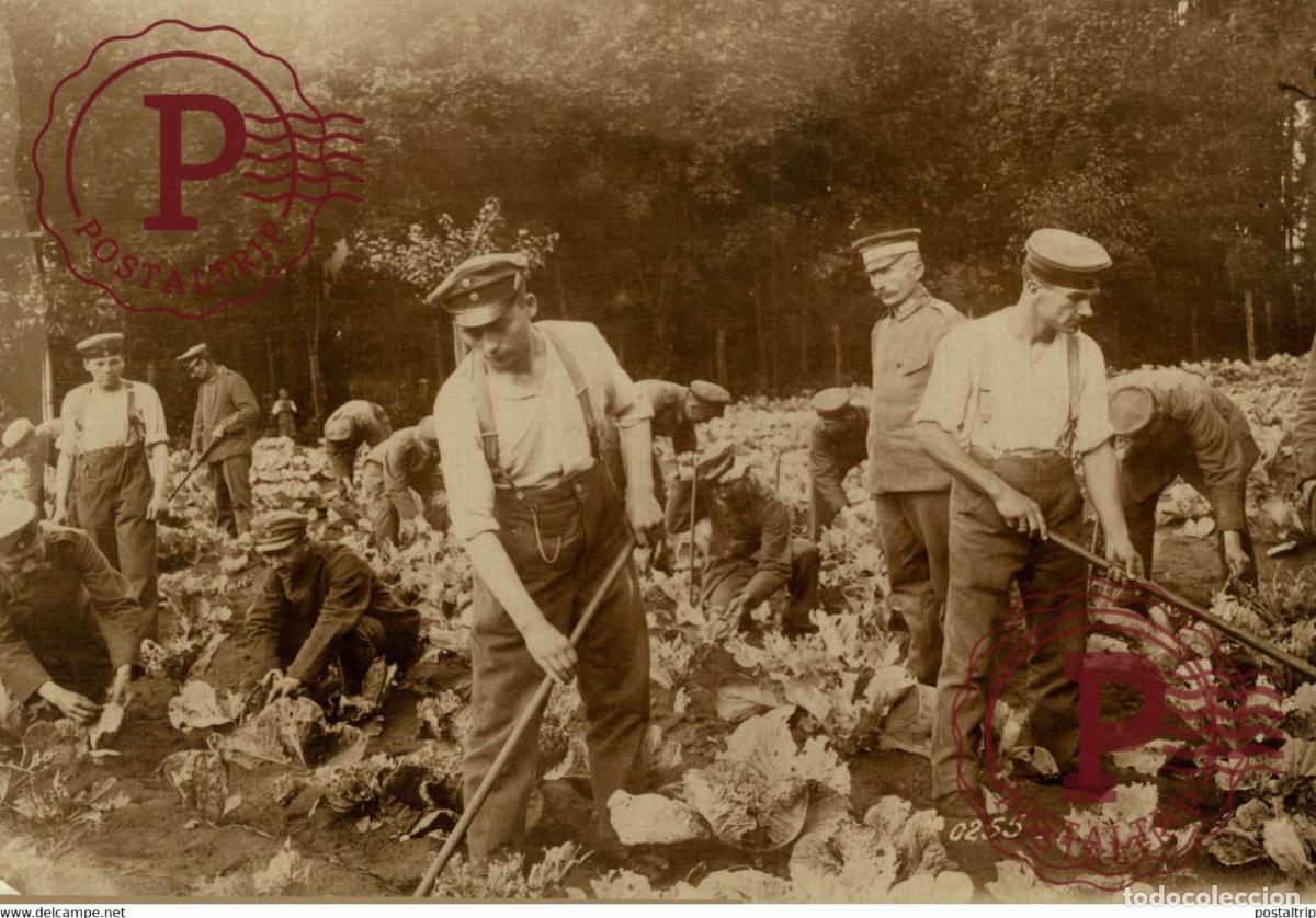 Militaria: DEUTSCHLAND BEHINDERTENHILFE GEMUSEANBAU WORLD WAR I 16*12CM aktiebolaget bild-centralen SWEDEN