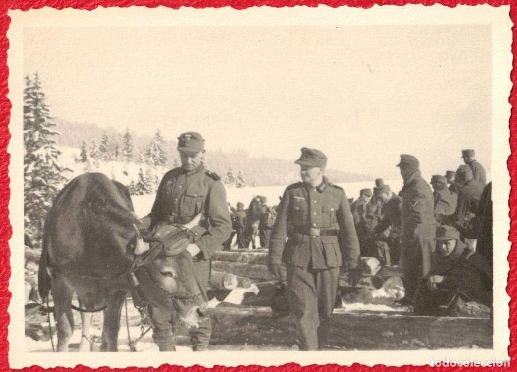Militaria: Gebirgsj&auml;ger Unidades de &eacute;lite de infanter&iacute;a ligera de monta&ntilde;a Wehrmacht Deutches Reich