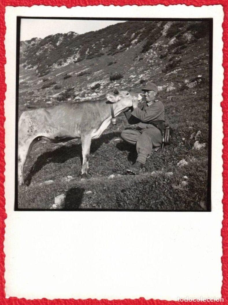 Militaria: Gebirgsj&auml;ger Unidades de &eacute;lite de infanter&iacute;a ligera de monta&ntilde;a Wehrmacht Deutches Reich