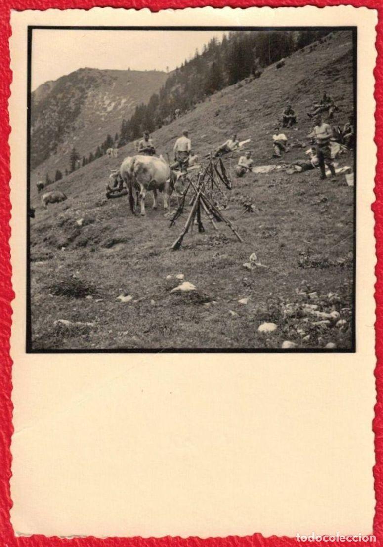 Militaria: Gebirgsj&auml;ger Unidades de &eacute;lite de infanter&iacute;a ligera de monta&ntilde;a Wehrmacht Deutches Reich