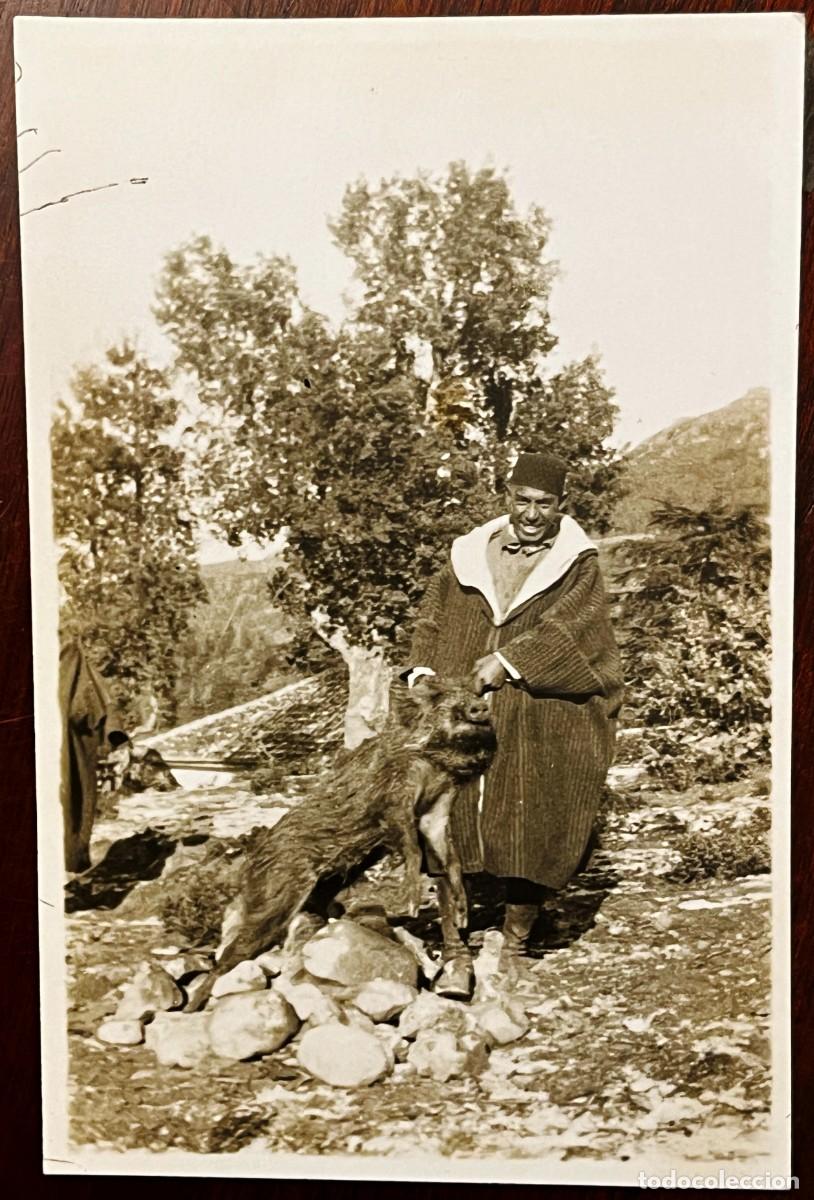 Militaria: Fotografia de militar de la Mehal-la Jalifiana con un carnero, Marruecos, durante la &eacute;poca del Prote