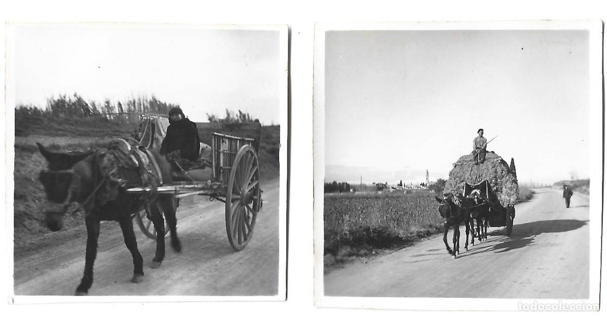 Militaria: 1938 (2) Fotograf&iacute;as guerra civil por soldados Legi&oacute;n C&oacute;ndor Labradores Arag&oacute;n r&iacute;o Ebro Zaragoza