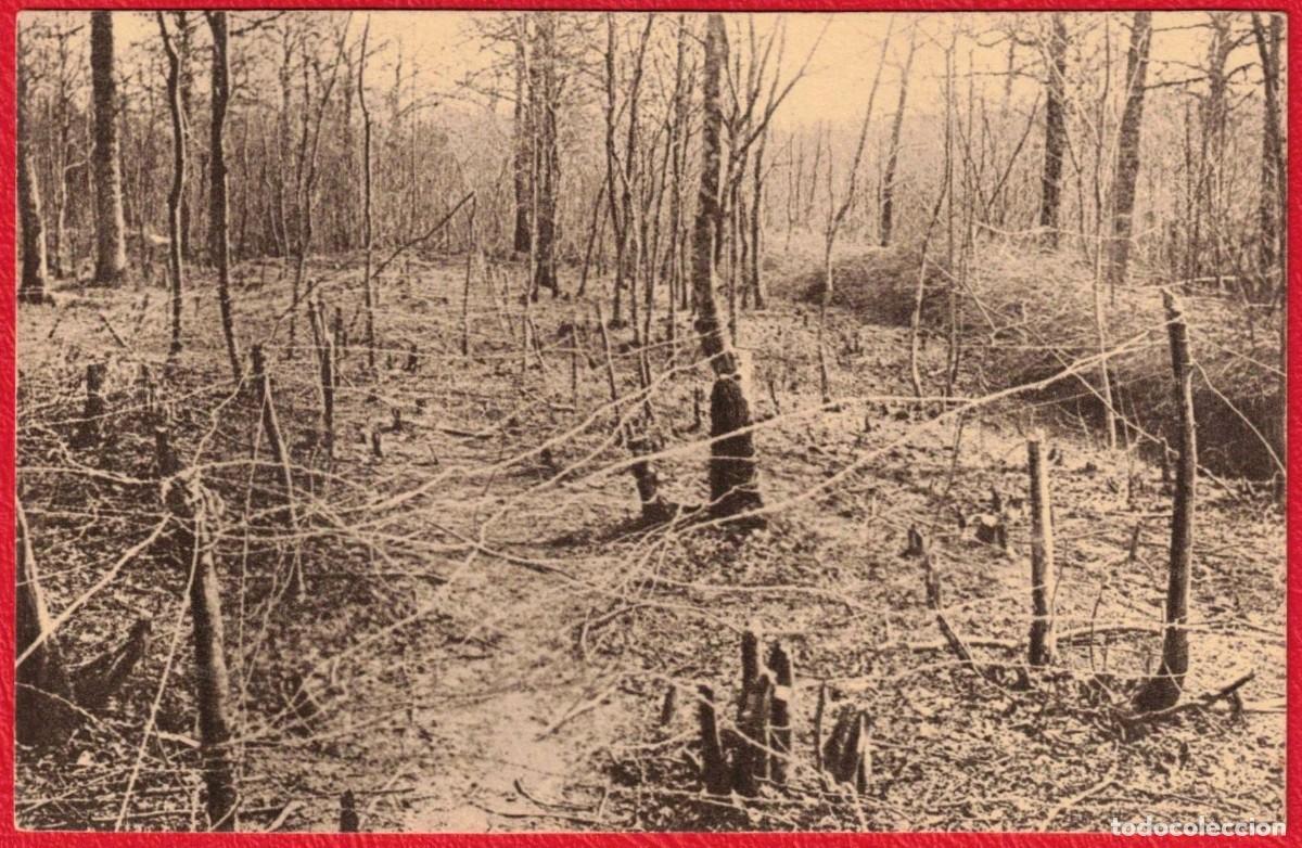 Militaria: 1&ordf; Guerra Mundial Batalla de Verd&uacute;n Defensa Bosque de los Cuervos 1916 Original Hist&oacute;rico