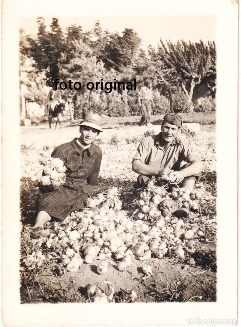 Militaria: FRENTE NORTE 1937 SOLDADO CTV RECOLECTA CEBOLLAS GUERRA CIVIL