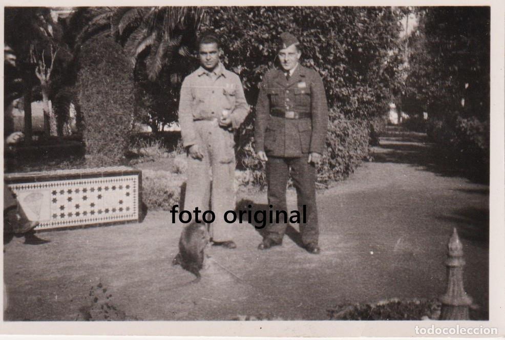 Militaria: OFICIAL LEGION CONDOR SOLDADO Y MONO SEVILLA PARQUE MARIA LUISA GUERRA CIVIL