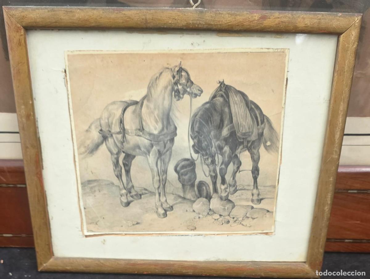 Militaria: L&aacute;mina antigua enmarcada con caballos de tiro &ndash; Estudio ecuestre en blanco y negro