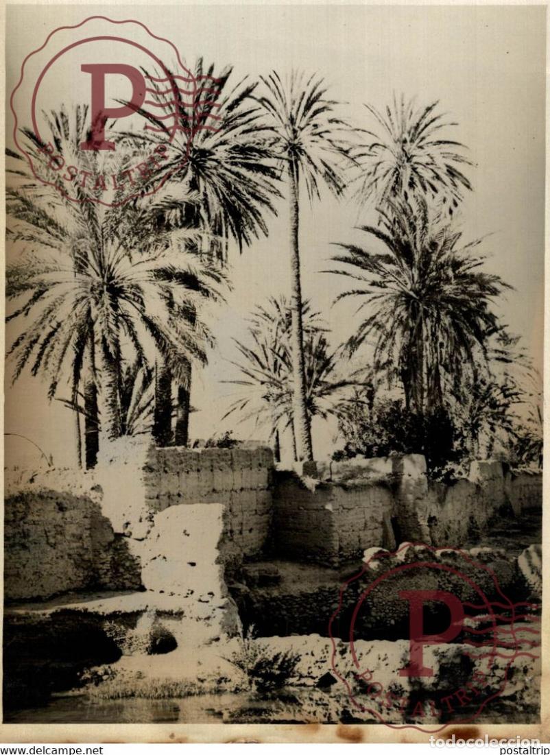 Militaria: L OASIS DE TIZNIT SUD MAROCAIN MAROCCO MARUECCOS OPERATION MILITAIRE 18*13CM Photo Meurisse Paris c