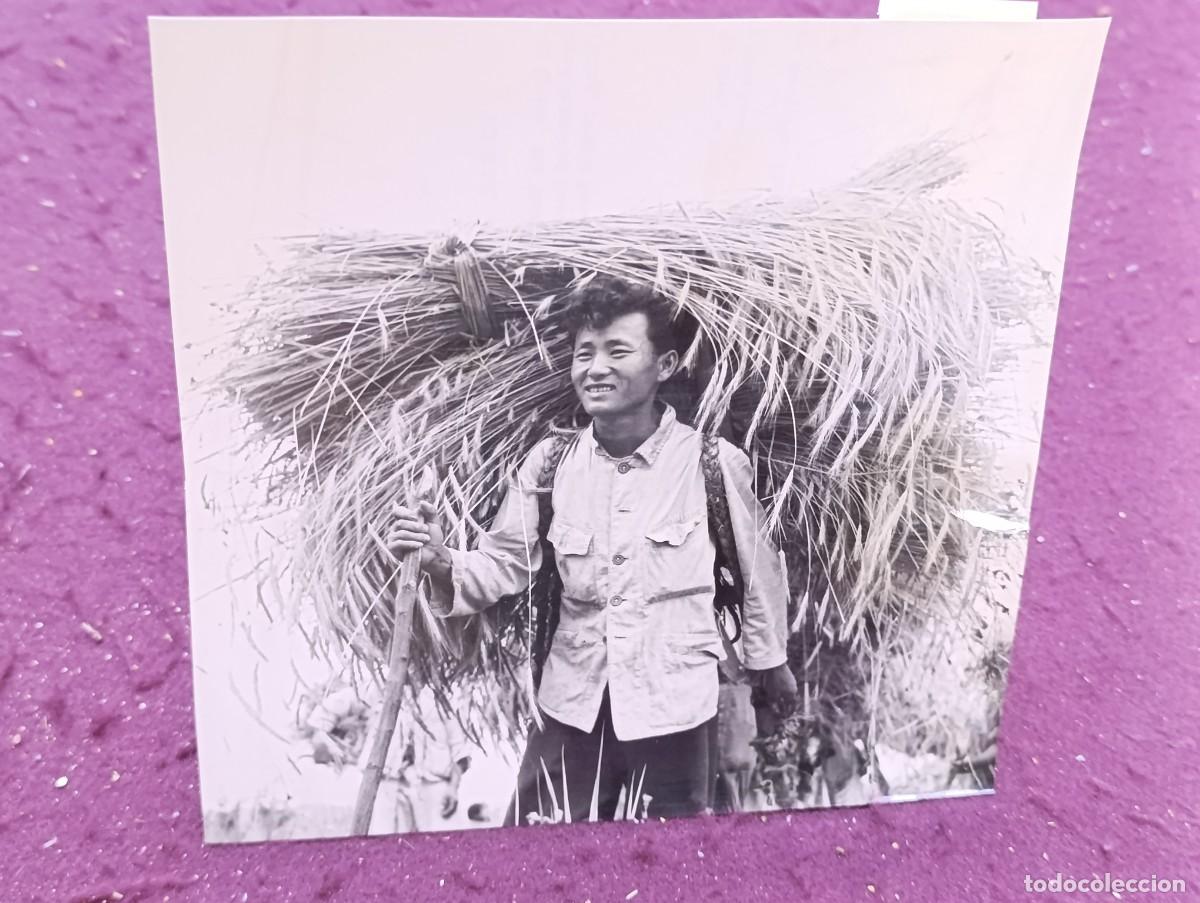 Militaria: Antigua Fotograf&iacute;a de Prensa Militar de Archivo, Guerra de Corea, Campesino con Haz de Paja