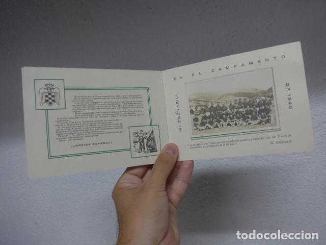 Militaria: Antigua fotografia original del curso de mandos de 1945 del Campamento Francisco Franco, Falange