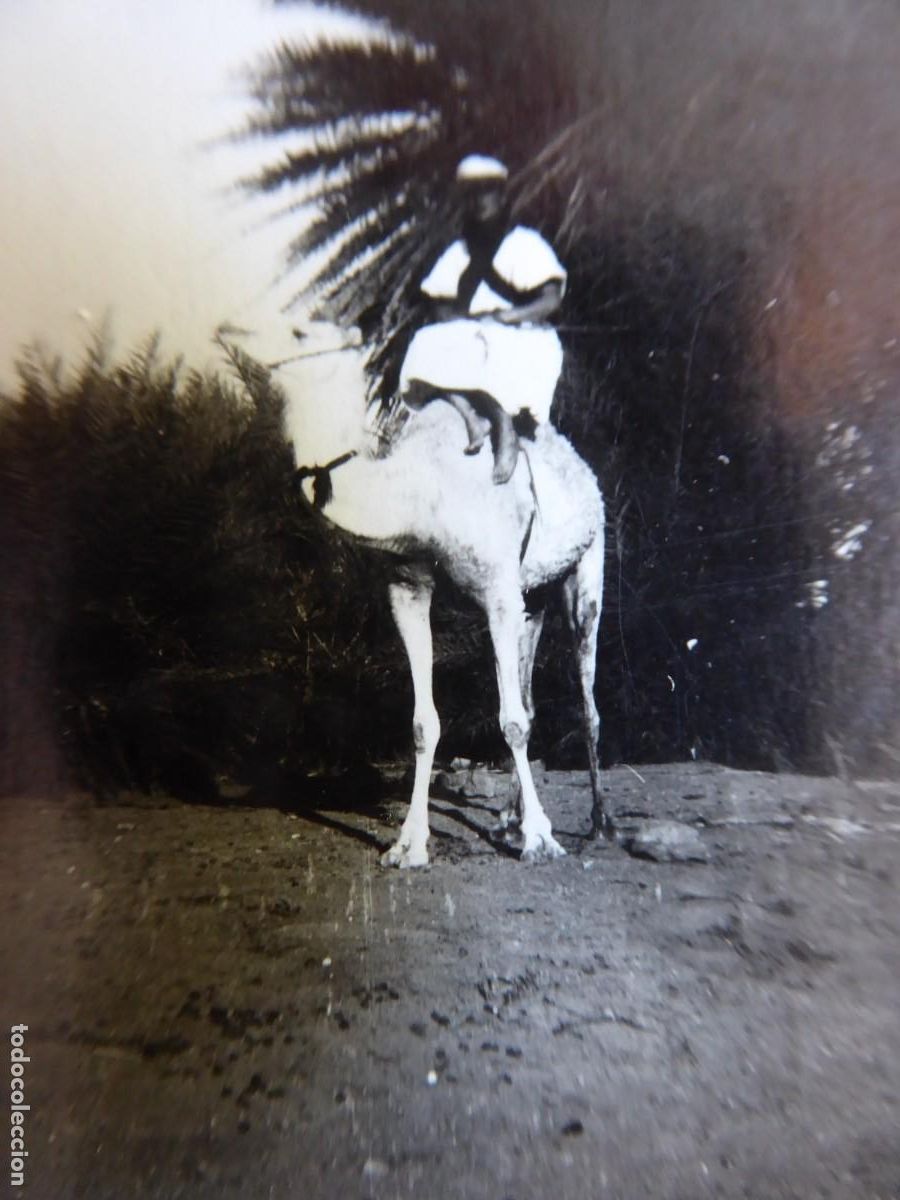 Militaria: Fotograf&iacute;a teniente regulares. Sahara