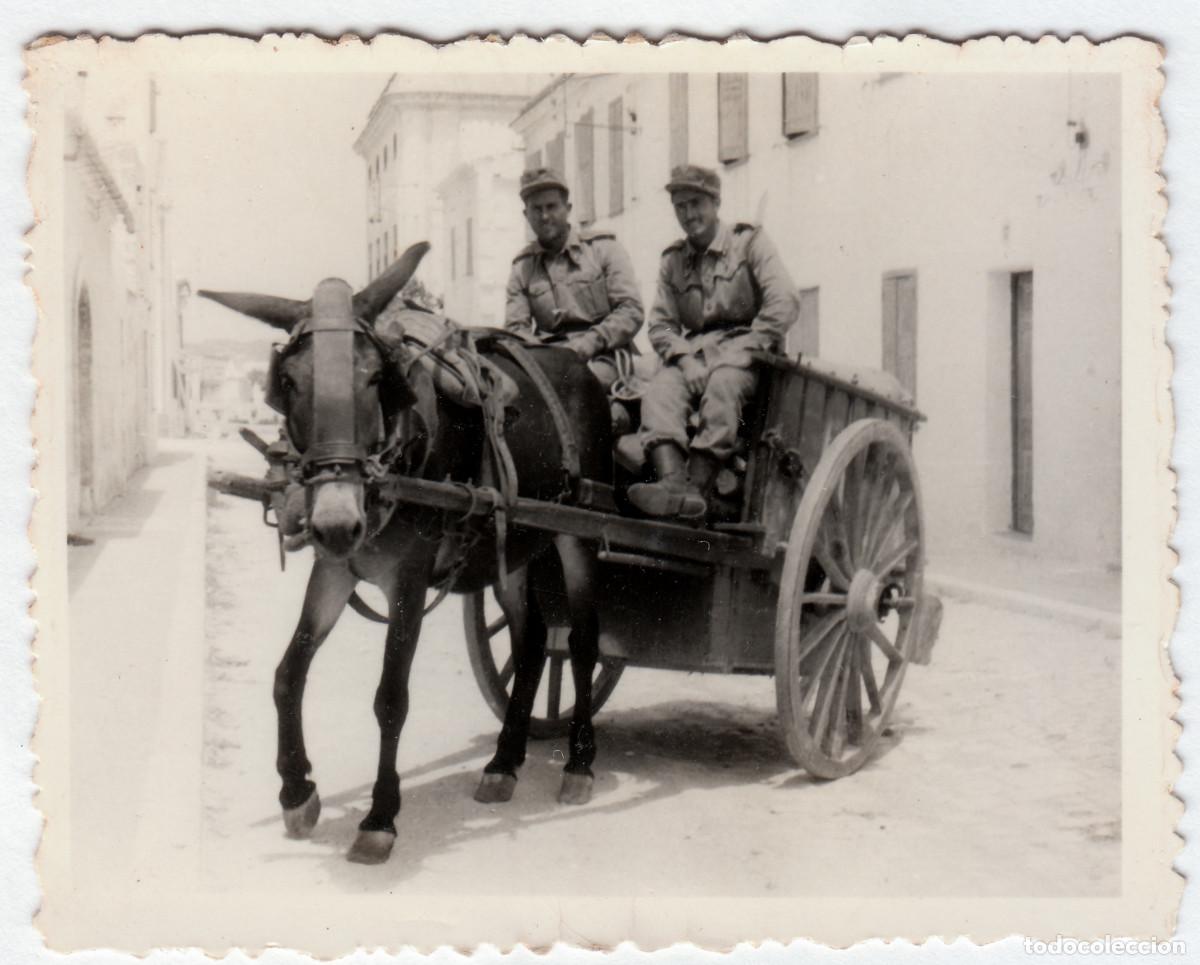 Militaria: Curiosa foto. Militares en un carro con un burrito. Foto Vidal, Villacarlos, Menorca. A&ntilde;os 40-50