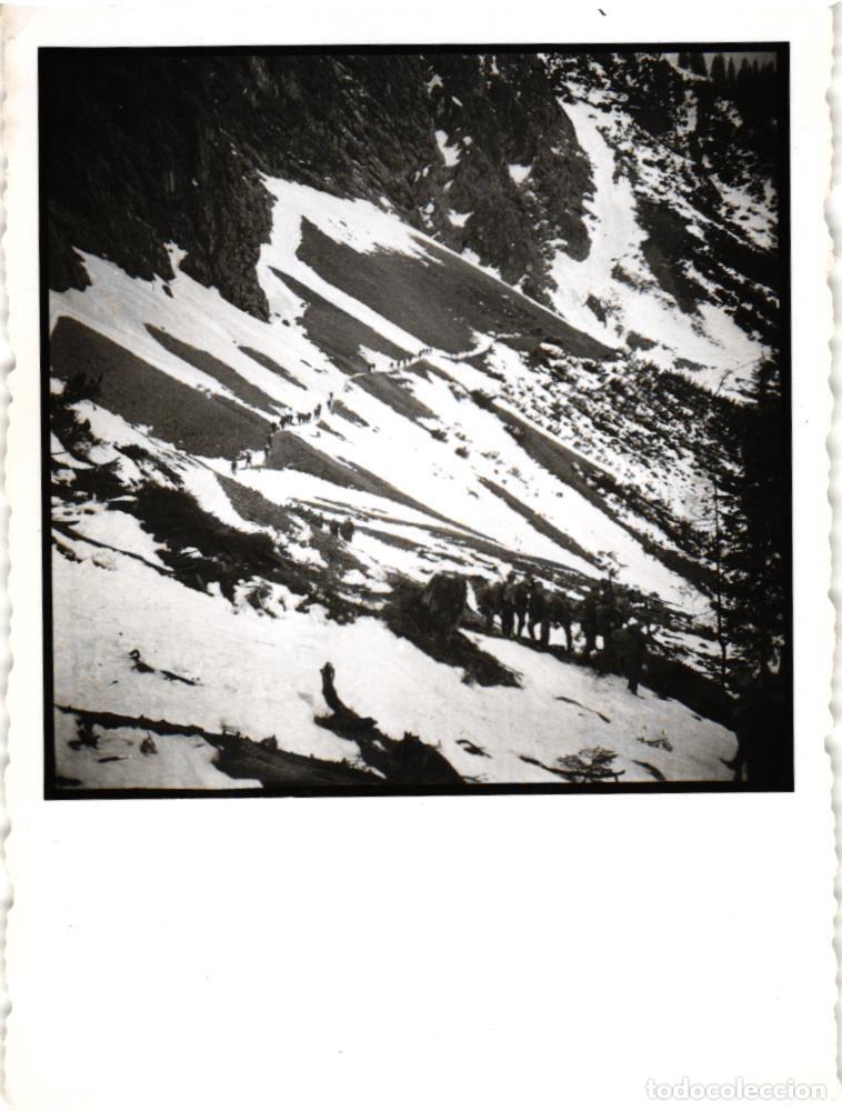 Military Antiques: Gebirgsj&auml;gers Tropas de monta&ntilde;a alemanas - Alpes Bavaros - WEHRMACHT &ndash; HEER