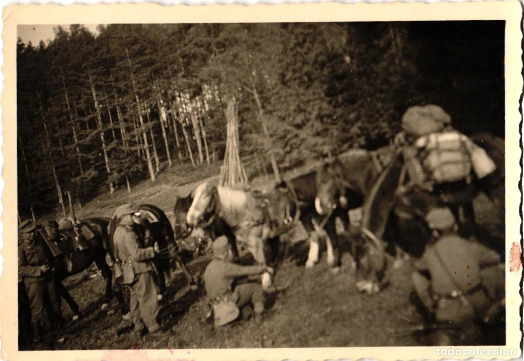 Militaria: Gebirgsj&auml;gers Tropas de monta&ntilde;a alemanas - Alpes Bavaros - WEHRMACHT &ndash; HEER