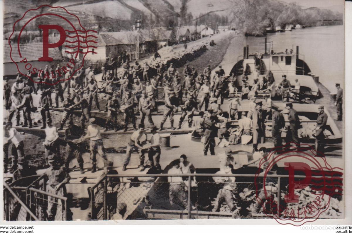 Militaria: TOKAJER WIJN OVERSTROMINGEN FLUDS RIVIER TISZA 1964 HONGRIE HONGARIJE HONGROISES press fotos PRENS