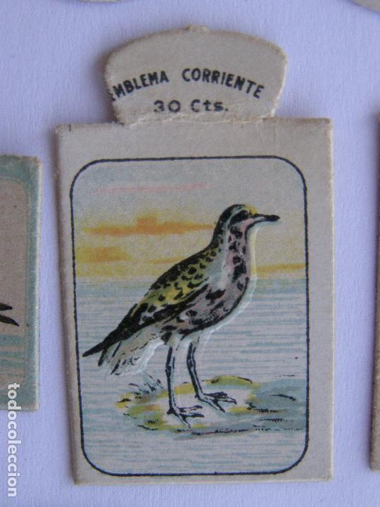 Military Antiques: EMBLEMA CORRIENTE AUXILIO SOCIAL
