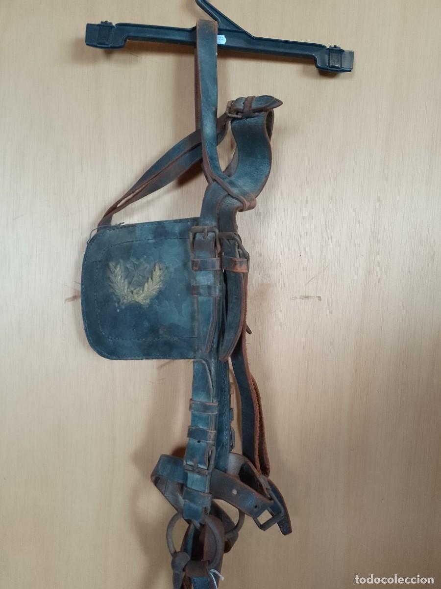 Militaria: Cabezada de mulo de Sanidad Militar.