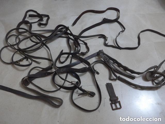 Militaria: Gran lote de correajes varios de caballeria, originales.