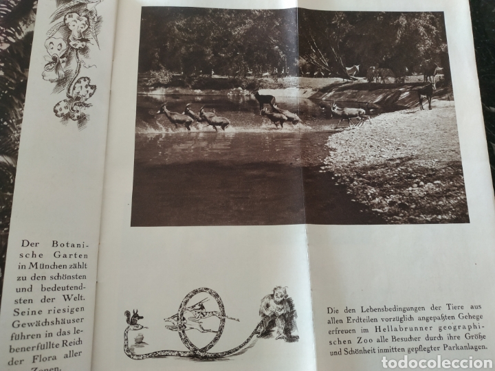 Militaria: M&uuml;nchen 1937 libreto - Foto 26