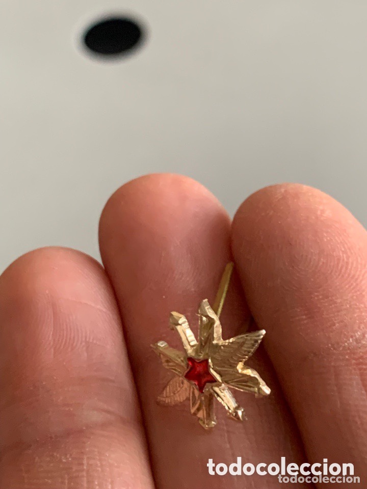 Militaria: Insignia Flor edelweiss. - Foto 2