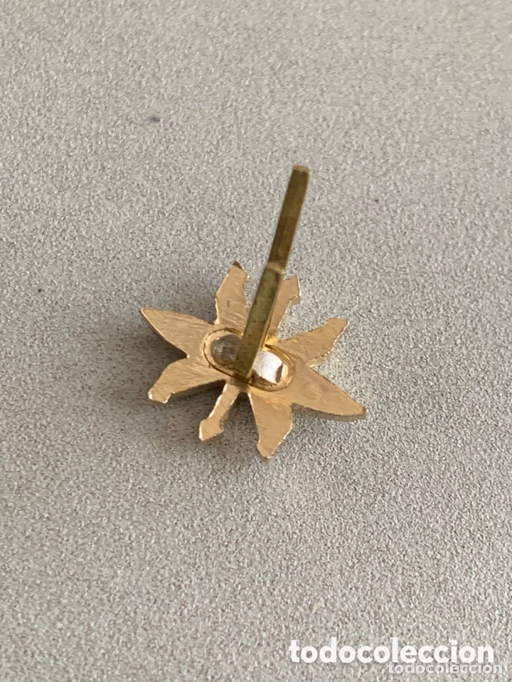 Militaria: Insignia Flor edelweiss. - Foto 3