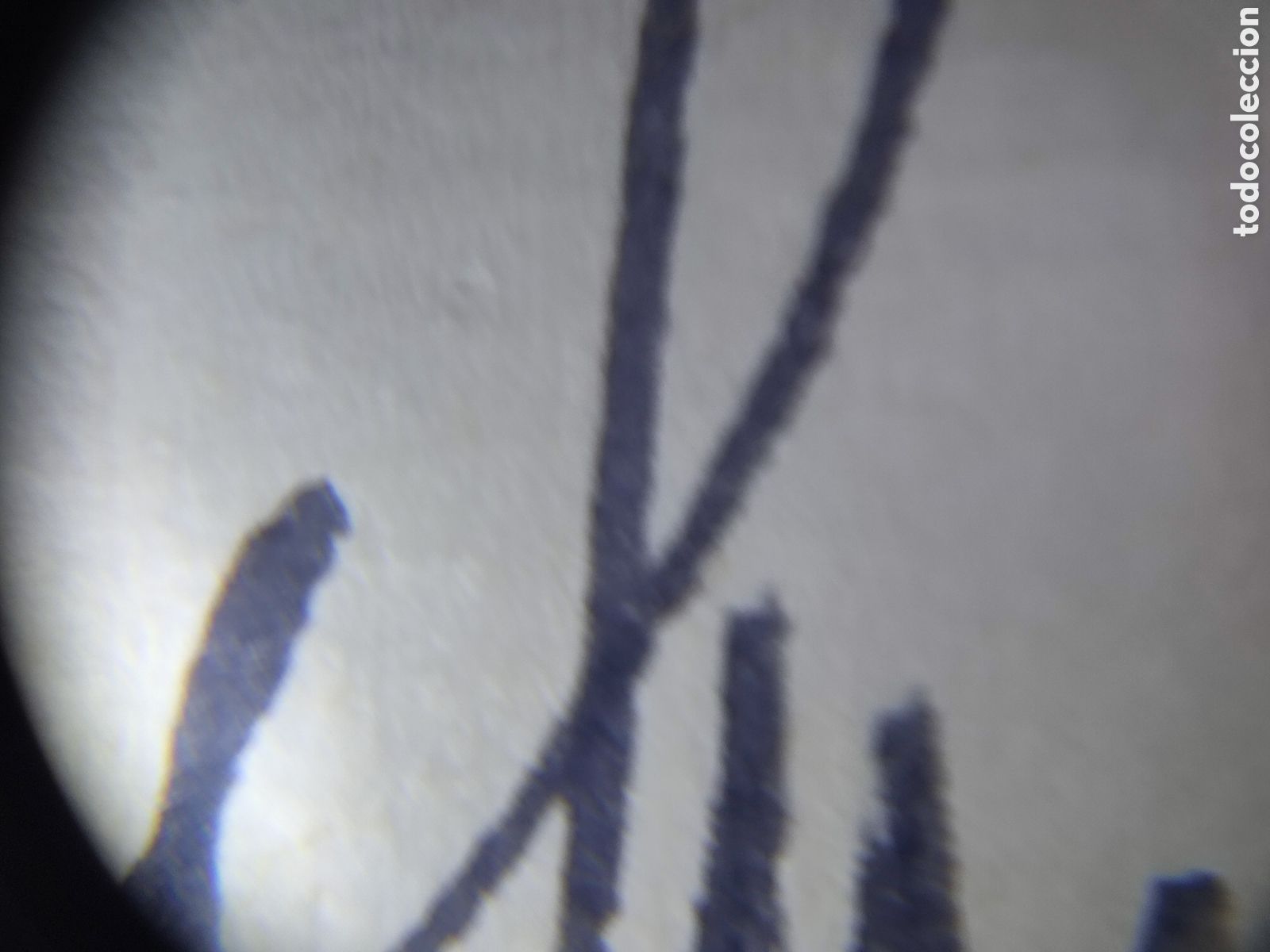 Militaria: Albert speer firma original - Foto 4