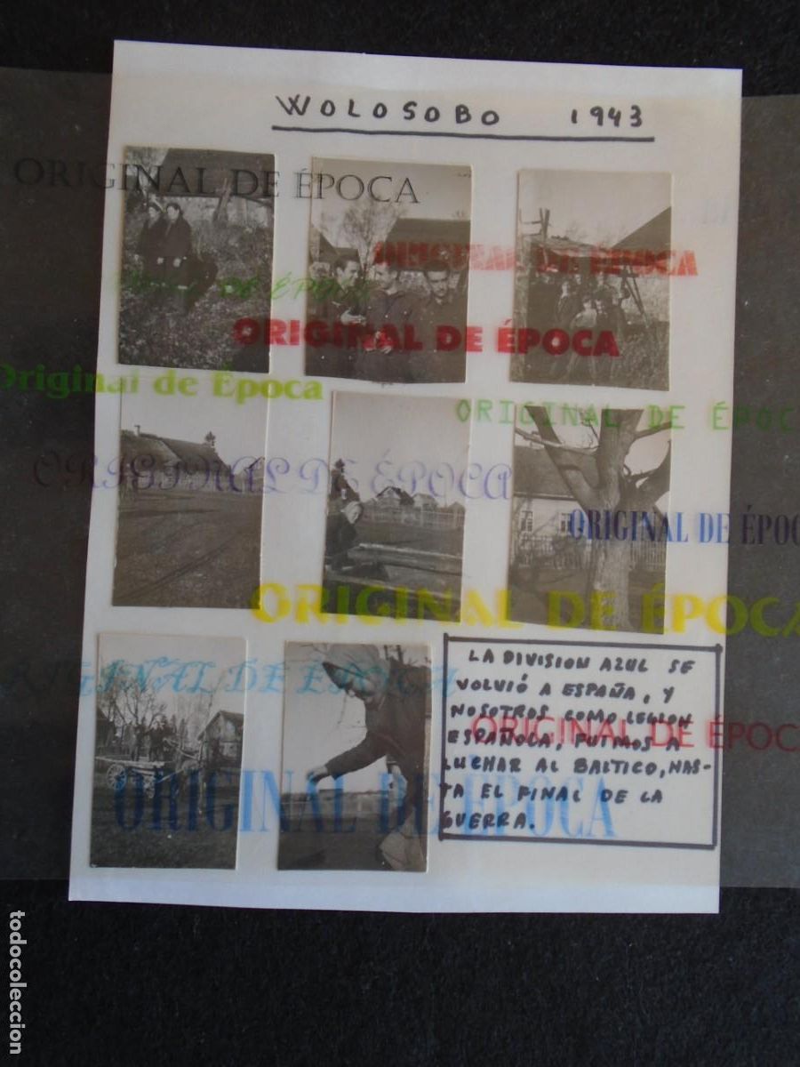 Militaria: (DA-12)LOTE DE 8 FOTOGRAFIAS DE ARTILLERO DE LA DIVISION AZUL HERIDO EN LENINGRADO(WOLOSOBO 1943)