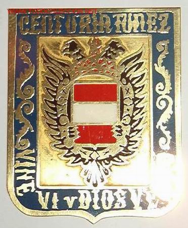 Militaria: Chapa de brazo Centuria T&uacute;nez - Foto 1