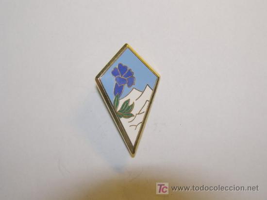Militaria: N&ordm; 34. Insignia regimental francesa. - Foto 1