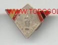 Militaria: insignia patriotica virgen pilar (2)