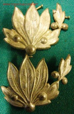 Militaria: Pareja de insignias de dragona. - Foto 1