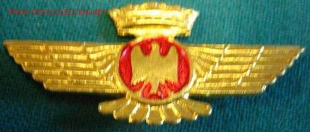 Militaria: Alas de aviaci&oacute;n de 4,5 cms. - Foto 1