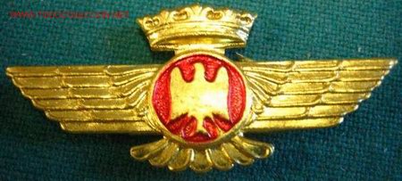 Militaria: Alas de aviaci&oacute;n de 4,5 cms. - Foto 1