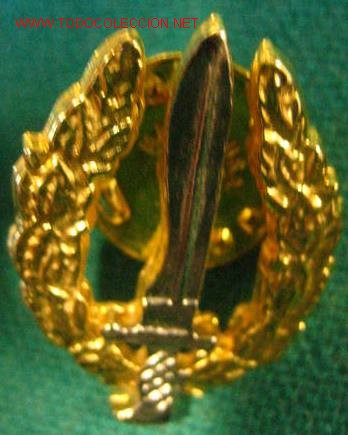 Militaria: Pin - Foto 1